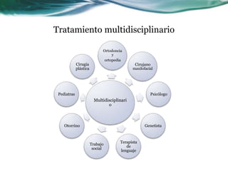 Tratamiento multidisciplinario

                              Ortodoncia
                                   y
                               ortopedia
             Cirugía                           Cirujano
             plástica                         maxilofacial




 Pediatras                                              Psicólogo
                          Multidisciplinari
                                 o



    Otorrino                                         Genetista


                                       Terapista
                        Trabajo
                                          de
                         social
                                       lenguaje
 
