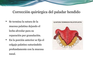 Corrección quirúrgica del paladar hendido

•   Se termina la sutura de la
    mucosa palatina dejando el
    lecho alveolar para su
    reparación por granulación.
•   En la porción anterior se fija el
    colgajo palatino suturándolo
    profundamente con la mucosa
    nasal.
 
