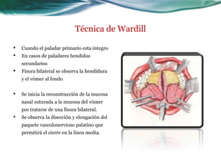 Técnica de Wardill

•   Cuando el paladar primario esta integro
•   En casos de paladares hendidos
    secundarios
•   Fisura bilateral se observa la hendidura
    y el vómer al fondo


•   Se inicia la reconstrucción de la mucosa
    nasal suturada a la mucosa del vómer
    por tratarse de una fisura bilateral.
•   Se observa la disección y elongación del
    paquete vasculonervioso palatino que
    permitirá el cierre en la línea media.
 