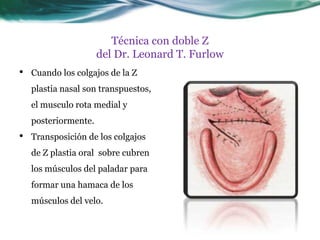 Técnica con doble Z
                      del Dr. Leonard T. Furlow
•   Cuando los colgajos de la Z
    plastia nasal son transpuestos,
    el musculo rota medial y
    posteriormente.
•   Transposición de los colgajos
    de Z plastia oral sobre cubren
    los músculos del paladar para
    formar una hamaca de los
    músculos del velo.
 