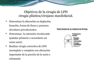 Objetivos de la cirugía de LPH
            cirugía plástica/cirujano maxilofacial.
•   Determinar la alteración en deglución,
    fonación, forma de fisura y procesos
    alveolares prevalecientes.
•   Determinar la extensión involucrada
    (paladar primario o secundario así
    como nariz)
•   Realizar cirugía correctiva de LPH
    incompleto y completo con alteración
    importante de la porción de la nariz o
    columnela
 