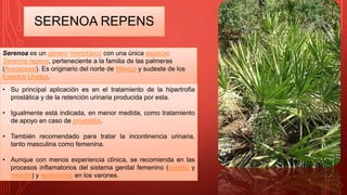 SERENOA REPENS
Serenoa es un género monotípico con una única especie:
Serenoa repens, perteneciente a la familia de las palmeras
(Arecaceae). Es originario del norte de México y sudeste de los
Estados Unidos.
• Su principal aplicación es en el tratamiento de la hipertrofia
prostática y de la retención urinaria producida por esta.
• Igualmente está indicada, en menor medida, como tratamiento
de apoyo en caso de prostatitis.
• También recomendado para tratar la incontinencia urinaria,
tanto masculina como femenina.
• Aunque con menos experiencia clínica, se recomienda en las
procesos inflamatorios del sistema genital femenino (ovaritis y
metritis) y epididimitis en los varones.
 