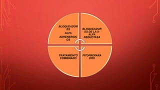 BLOQUEADOR
ES
ALFA
ADRENERGIC
OS
BLOQUEADOR
ES DE LA 5-
ALFA
REDUCTASA
FITOPREPARA
DOS
TRATAMIENTO
COMBINADO
 