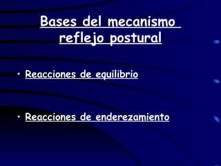 Bases del mecanismo  reflejo postural Reacciones de equilibrio Reacciones de enderezamiento 