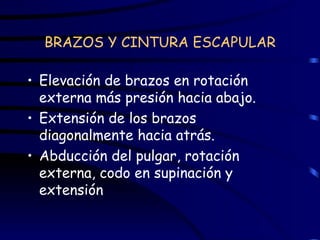 BRAZOS Y CINTURA ESCAPULAR Elevación de brazos en rotación externa más presión hacia abajo. Extensión de los brazos diagonalmente hacia atrás. Abducción del pulgar, rotación externa, codo en supinación y extensión  