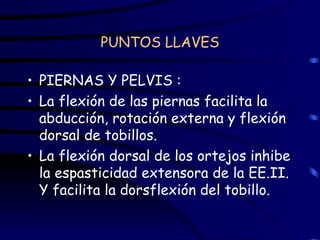 PUNTOS LLAVES PIERNAS Y PELVIS : La flexión de las piernas facilita la abducción, rotación externa y flexión dorsal de tobillos. La flexión dorsal de los ortejos inhibe la espasticidad extensora de la EE.II. Y facilita la dorsflexión del tobillo.  