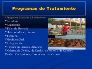 Programas de Tratamiento

Programas Laborales y Productivos:
Panadería
Ebanistería
Taller de Herrería
Desabolladora y Pintura
Tapicería
Mecánica Gral.
Refrigeración
 Pintura en Lienzos, Artesanía
 Crianza de Ovejos, de Cerdos, de Pollos y de Conejos
Producción Agrícola y Producción de Viveros.
 