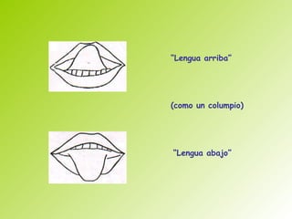 “Lengua arriba”




(como un columpio)




“Lengua abajo”
 