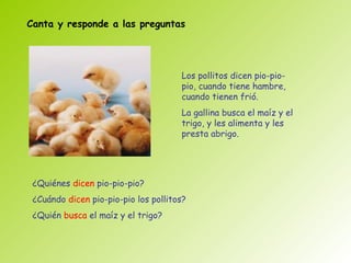 Canta y responde a las preguntas




                                      Los pollitos dicen pio-pio-
                                      pio, cuando tiene hambre,
                                      cuando tienen frió.
                                      La gallina busca el maíz y el
                                      trigo, y les alimenta y les
                                      presta abrigo.




 ¿Quiénes dicen pio-pio-pio?
 ¿Cuándo dicen pio-pio-pio los pollitos?
 ¿Quién busca el maíz y el trigo?
 