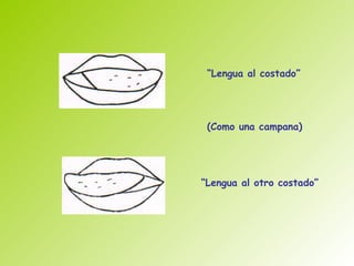 “Lengua al costado”




 (Como una campana)




“Lengua al otro costado”
 