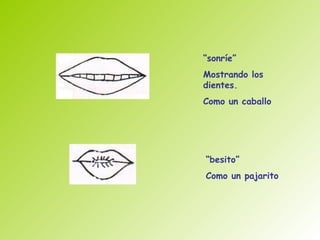 “sonríe”
Mostrando los
dientes.
Como un caballo




“besito”
Como un pajarito
 