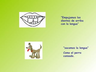 “Empujamos los
dientes de arriba
con la lengua”




 “sacamos la lengua”
 Como el perro
 cansado.
 