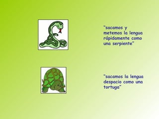 “sacamos y
metemos la lengua
rápidamente como
una serpiente”




“sacamos la lengua
despacio como una
tortuga”
 