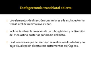 Los elementos de disección son similares a la esofagectomía 
transhiatal de mínima invasividad. 
Incluye también la creación de un tubo gástrico y la disección 
del mediastino posterior por medio del hiato. 
La diferencia es que la disección se realiza con los dedos y no 
bajo visualización directa con instrumentos quirúrgicos. 
 