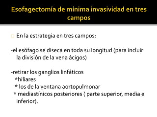En la estrategia en tres campos: 
-el esófago se diseca en toda su longitud (para incluir 
la división de la vena ácigos) 
-retirar los ganglios linfáticos 
*hiliares 
* los de la ventana aortopulmonar 
* mediastínicos posteriores ( parte superior, media e 
inferior). 
 