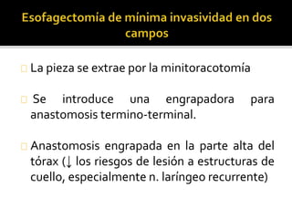 La pieza se extrae por la minitoracotomía 
Se introduce una engrapadora para 
anastomosis termino-terminal. 
Anastomosis engrapada en la parte alta del 
tórax (↓ los riesgos de lesión a estructuras de 
cuello, especialmente n. laríngeo recurrente) 
 