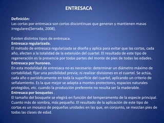 ENTRESACA
Definición:
Las cortas por entresaca son cortas discontinuas que generan y mantienen masas
irregulares(Serrada, 2008).

Existen distintos tipos de entresaca.
Entresaca regularizada.
El método de entresaca regularizada se diseña y aplica para evitar que las cortas, cada
año, afecten a la totalidad de la extensión del cuartel. El resultado de este tipo de
regeneración es la presencia por todas partes del monte de pies de todas las edades.
Entresaca por huroneo.
En esta modalidad de entresaca no es necesario: determinar un diámetro máximo de
cortabilidad; fijar una posibilidad previa; ni realizar divisiones en el cuartel. Se actúa,
cada año o periódicamente en toda la superficie del cuartel, aplicando un criterio de
señalamiento. Es la que mejor se adapta a montes protectores, espacios naturales
protegidos, etc. cuando la producción preferente no resulta ser la maderable.
Entresaca por bosquetes .
El tamaño del bosquete se elegirá en función del temperamento de la especie principal.
Cuanto más de sombra, más pequeño. El resultado de la aplicación de este tipo de
cortas es un mosaico de pequeñas unidades en las que, en conjunto, se mezclan pies de
todas las clases de edad.
 