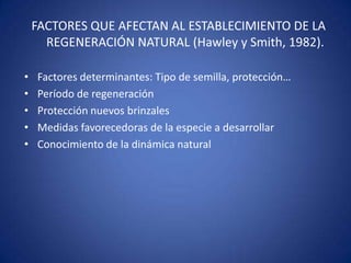 FACTORES QUE AFECTAN AL ESTABLECIMIENTO DE LA
  REGENERACIÓN NATURAL (Hawley y Smith, 1982).


Período de regeneración
Protección nuevos brinzales
Medidas favorecedoras de la especie a desarrollar
Conocimiento de la dinámica natural
 
