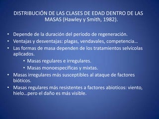 DISTRIBUCIÓN DE LAS CLASES DE EDAD DENTRO DE LAS
           MASAS (Hawley y Smith, 1982).

Depende de la duración del período de regeneración.

Las formas de masa dependen de los tratamientos selvícolas
aplicados.
       Masas regulares e irregulares.
       Masas monoespecíficas y mixtas.
Masas irregulares más susceptibles al ataque de factores
bióticos.
Masas regulares más resistentes a factores abioticos: viento,
 