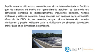 Aquí la arena se utiliza como un medio para el crecimiento bacteriano. Debido a
que los sistemas de cultivo son generalmente aerobios, se desarrolla una
comunidad compleja de microorganismos, incluyendo bacterias, hongos,
protozoos y rotíferos aerobios. Estos sistemas son capaces de la eliminación
eficaz de la DBO. Al ser aerobios, apoyan el crecimiento de bacterias
nitrificantes y pueden utilizarse para la nitrificación de efluentes domésticos,
primer paso en la eliminación de nitrógeno.
 