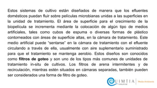 Estos sistemas de cultivo están diseñados de manera que los efluentes
domésticos puedan fluir sobre películas microbianas unidas a las superficies en
la unidad de tratamiento. El área de superficie para el crecimiento de la
biopelícula se incrementa mediante la colocación de algún tipo de medios
artificiales, tales como cubos de espuma o diversas formas de plástico
contorneados con áreas de superficie altas, en la cámara de tratamiento. Este
medio artificial puede “sentarse” en la cámara de tratamiento con el efluente
circulando a través de ella, usualmente con aire suplementario suministrado
para que el tratamiento se mantenga aerobio. Estos diseños son conocidos
como filtros de goteo y son uno de los tipos más comunes de unidades de
tratamiento in-situ de cultivos. Los filtros de arena intermitentes y de
recirculación, mientras estén situados en cámaras separadas, también pueden
ser considerados una forma de filtro de goteo.
 
