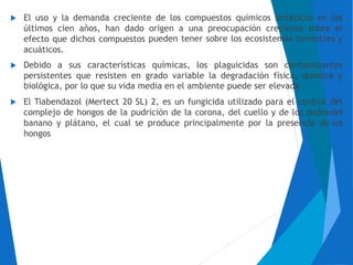 El uso y la demanda creciente de los compuestos químicos sintéticos en los
últimos cien años, han dado
efecto que dichos compuestos
acuáticos.
origen a una preocupación creciente sobre el
pueden tener sobre los ecosistemas terrestres y
Debido a sus características químicas, los plaguicidas son contaminantes
persistentes que resisten en grado variable la degradación física, química y
biológica, por lo que su vida media en el ambiente puede ser elevada.
El Tiabendazol (Mertect 20 SL) 2, es un fungicida utilizado para el control
complejo de hongos de la pudrición de la corona, del cuello y de los dedos
banano y plátano, el cual se produce principalmente por la presencia de
hongos
del
del
los

 