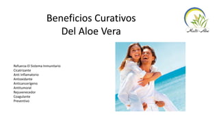 Beneficios Curativos
Del Aloe Vera
Refuerza El Sistema Inmunitario
Cicatrizante
Anti Inflamatorio
Antioxidante
Anticancerígeno
Antitumoral
Rejuvenecedor
Coagulante
Preventivo
 