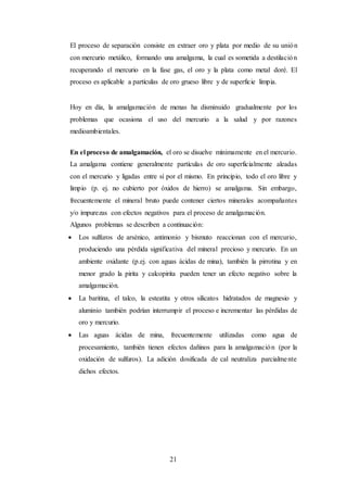21
El proceso de separación consiste en extraer oro y plata por medio de su unión
con mercurio metálico, formando una amalgama, la cual es sometida a destilación
recuperando el mercurio en la fase gas, el oro y la plata como metal doré. El
proceso es aplicable a partículas de oro grueso libre y de superficie limpia.
Hoy en día, la amalgamación de menas ha disminuido gradualmente por los
problemas que ocasiona el uso del mercurio a la salud y por razones
medioambientales.
En el proceso de amalgamación, el oro se disuelve mínimamente en el mercurio.
La amalgama contiene generalmente partículas de oro superficialmente aleadas
con el mercurio y ligadas entre sí por el mismo. En principio, todo el oro libre y
limpio (p. ej. no cubierto por óxidos de hierro) se amalgama. Sin embargo,
frecuentemente el mineral bruto puede contener ciertos minerales acompañantes
y/o impurezas con efectos negativos para el proceso de amalgamación.
Algunos problemas se describen a continuación:
 Los sulfuros de arsénico, antimonio y bismuto reaccionan con el mercurio,
produciendo una pérdida significativa del mineral precioso y mercurio. En un
ambiente oxidante (p.ej. con aguas ácidas de mina), también la pirrotina y en
menor grado la pirita y calcopirita pueden tener un efecto negativo sobre la
amalgamación.
 La baritina, el talco, la esteatita y otros silicatos hidratados de magnesio y
aluminio también podrían interrumpir el proceso e incrementar las pérdidas de
oro y mercurio.
 Las aguas ácidas de mina, frecuentemente utilizadas como agua de
procesamiento, también tienen efectos dañinos para la amalgamación (por la
oxidación de sulfuros). La adición dosificada de cal neutraliza parcialmente
dichos efectos.
 