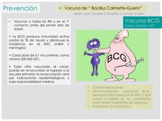 Prevención • Vacuna de “ Bacillus Calmette-Guerin”
• Vacunar a todos los RN o en el 1°
contacto antes del primer año de
edad.
• La BCG produce inmunidad activa
contra la TB (M. bovis) y disminuye la
incidencia en el SNC (miliar y
meningea)
• Cada dosis de 0.1 ml contiene, como
mínimo 200 000 UFC.
• Todo niño vacunado al nacer,
puede ser revacunado al ingresar a la
escuela primaria; la revacunación será
por indicaciones epidemiológicas y
bajo responsabilidad médica.
• Contraindicaciones:
• Inmunosupresión: personas (p.ej.,
personas infectadas por el VIH) o que
vayan a estarlo (p. ej., candidatos
para recibir trasplantes de órganos).
• Embarazo: No específico
Albert León Charles Calmette y Camile Guérin
Vacuna BCG
Cepa: Danesa 1331
 