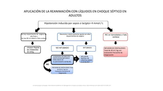 APLICACIÓN DE LA REANIMACIÓN CON LÍQUIDOS EN CHOQUE SÉPTICO EN
ADULTOS
Hipotensión inducida por sepsis o lactato> 4 mmol / L
No hay requerimento de oxígeno de
alto flujo y
No hay IRC en diálisis o falla cardiaca
Neumonia o lesion pulmonar aguda con altos
requerimentos de oxigeno
IRC en hemodialisis o Falla
cardiaca
Infusion Rapida
de cristaloides
30 ml/kg
NO INTUBADO INTUBADO INFUSION DE CRISTALOIDES
Total de 30 ml / kg con
Evaluación frecuente de
Oxigenación
NO
SI
CONSIDERE INTUBACION /
VENTILACION MECANICA
PARA INICIO DE
FLUIDOTERAPIA 30 ML/KG
INFUSION
RAPIDA DE
CRISTALOIDES
A 30 ML/KG*
INFUSION DE CRISTALOIDES Total
de 30 ml / kg con
Evaluación frecuente de
Oxigenación
Surviving Sepsis Campaign: International Guidelines for Management of Sepsis and Septic Shock: 2016 Intensive Care Med (2017) 43:304–377
 