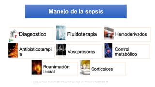 Diagnostico Fluidoterapia Hemoderivados
Antibioticoterapi
a
Vasopresores
Control
metabólico
Reanimación
Inicial
Corticoides
Surviving Sepsis Campaign: International Guidelines for Management of Sepsis and Septic Shock: 2016 Intensive Care Med (2017) 43:304–377
Manejo de la sepsis
 