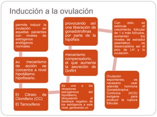 Inducción a la ovulación
permite inducir la
ovulación en
aquellas pacientes
con niveles de
estrógenos
endógenos
normales
su mecanismo
de acción se
concentra a nivel
hipotálamo
hipofisiario.
El Citrato de
Clomifeno (CC)
El Tamoxifeno
Se une a los
receptores
estrogénicos del
hipotálamo,
bloqueando el
feedback negativo de
los estrógenos a este
nivel, generando un
mecanismo
compensatorio,
el que aumenta
la secreción de
GnRH
provocando así
una liberación de
gonadotrofinas
por parte de la
hipófisis
Con esto, se
estimula el
crecimiento folicular
de 1 o más folículos,
aumentan los
niveles de estradiol
plasmático, se
desencadena así el
pico de LH y la
ovulación.
Ovulación
espontanea, es
necesario usar
además hormona
Gonadotropina
Coriónica (hCG)
exógena para
producir la ruptura
folicular.
 