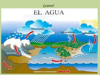 ¿como?
 