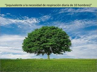 “(equivalente a la necesidad de respiración diaria de 10 hombres)”
 