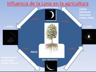 Influencia de la4TO MENGUANTE la agricultura
                      Luna en
                                                                     PODAR
                                                                     ARRANCAR
                                                                     SEMB BAJO
                          IV FASE                                    TIERRA, PAPAS
                                                    III FASE

  L. NUEVA                                                               L. LLENA




                 I FASE                                    II FASE
                          AGUA         Agua
TRANSPLANTAR
SEMB SOBRE                          4TO.CRECIENTE
TIERRA, CHOCLO
 