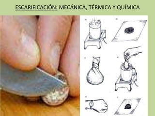 ESCARIFICACIÓN: MECÁNICA, TÉRMICA Y QUÍMICA
 