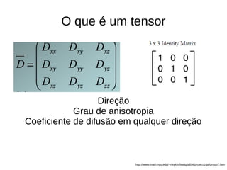 O que é um tensor
http://www.math.nyu.edu/~neylon/linalgfall04/project1/jja/group7.htm
Direção
Grau de anisotropia
Coeficiente de difusão em qualquer direção
 
