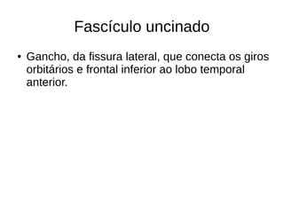 Fascículo uncinado
● Gancho, da fissura lateral, que conecta os giros
orbitários e frontal inferior ao lobo temporal
anterior.
 