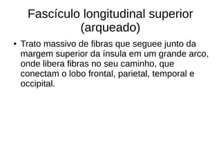 Fascículo longitudinal superior
(arqueado)
● Trato massivo de fibras que seguee junto da
margem superior da ínsula em um grande arco,
onde libera fibras no seu caminho, que
conectam o lobo frontal, parietal, temporal e
occipital.
 