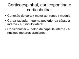 Corticoespinhal, corticopontina e
corticobulbar
● Conexão do córtex motor ao tronco / medula
● Coroa radiada - >perna posterior da cápsula
interna - > fúniculo lateral
● Corticobulbar – joelho da cápsula interna - >
núcleos motores cranianos
 