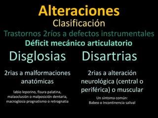 Defectos Instrumentales Tratornos del Lenguaje | PPTX