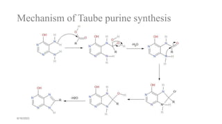 Mechanism of Taube purine synthesis
6/16/2023
 