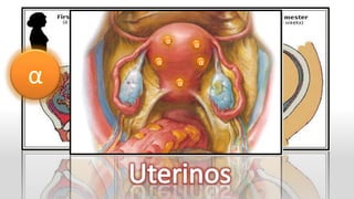 α
                α

    α           α

α           α
 