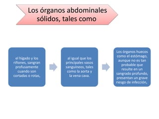 Los órganos abdominales
sólidos, tales como
el hígado y los
riñones, sangran
profusamente
cuando son
cortadas o rotas,
al igual que los
principales vasos
sanguíneos, tales
como la aorta y
la vena cava.
Los órganos huecos
como el estómago,
aunque no es tan
probable que
resulte en un
sangrado profundo,
presentan un grave
riesgo de infección,
 