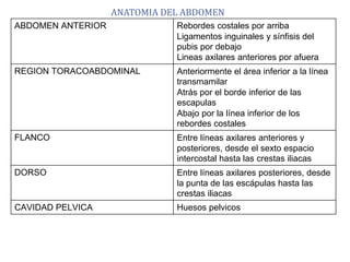 ANATOMIA DEL ABDOMEN
ABDOMEN ANTERIOR Rebordes costales por arriba
Ligamentos inguinales y sínfisis del
pubis por debajo
Lineas axilares anteriores por afuera
REGION TORACOABDOMINAL Anteriormente el área inferior a la línea
transmamilar
Atrás por el borde inferior de las
escapulas
Abajo por la línea inferior de los
rebordes costales
FLANCO Entre líneas axilares anteriores y
posteriores, desde el sexto espacio
intercostal hasta las crestas iliacas
DORSO Entre líneas axilares posteriores, desde
la punta de las escápulas hasta las
crestas iliacas
CAVIDAD PELVICA Huesos pelvicos