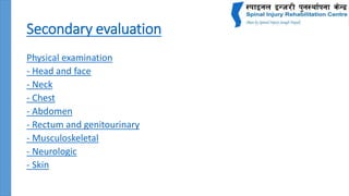 Secondary evaluation
Physical examination
- Head and face
- Neck
- Chest
- Abdomen
- Rectum and genitourinary
- Musculoskeletal
- Neurologic
- Skin
 