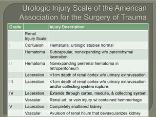 trauma.pptx