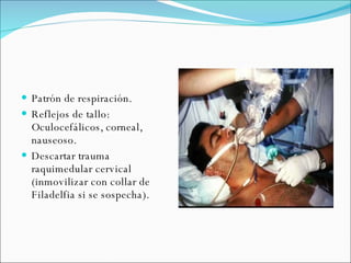 Patrón de respiración. Reflejos de tallo: Oculocefálicos, corneal, nauseoso.  Descartar trauma raquimedular cervical (inmovilizar con collar de Filadelfia si se sospecha). 