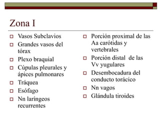 Zona I
 Vasos Subclavios
 Grandes vasos del
tórax
 Plexo braquial
 Cúpulas pleurales y
ápices pulmonares
 Tráquea
 Esófago
 Nn laríngeos
recurrentes
 Porción proximal de las
Aa carótidas y
vertebrales
 Porción distal de las
Vv yugulares
 Desembocadura del
conducto torácico
 Nn vagos
 Glándula tiroides
 