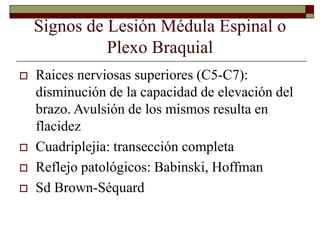 Signos de Lesión Médula Espinal o
Plexo Braquial
 Raices nerviosas superiores (C5-C7):
disminución de la capacidad de elevación del
brazo. Avulsión de los mismos resulta en
flacidez
 Cuadriplejia: transección completa
 Reflejo patológicos: Babinski, Hoffman
 Sd Brown-Séquard
 